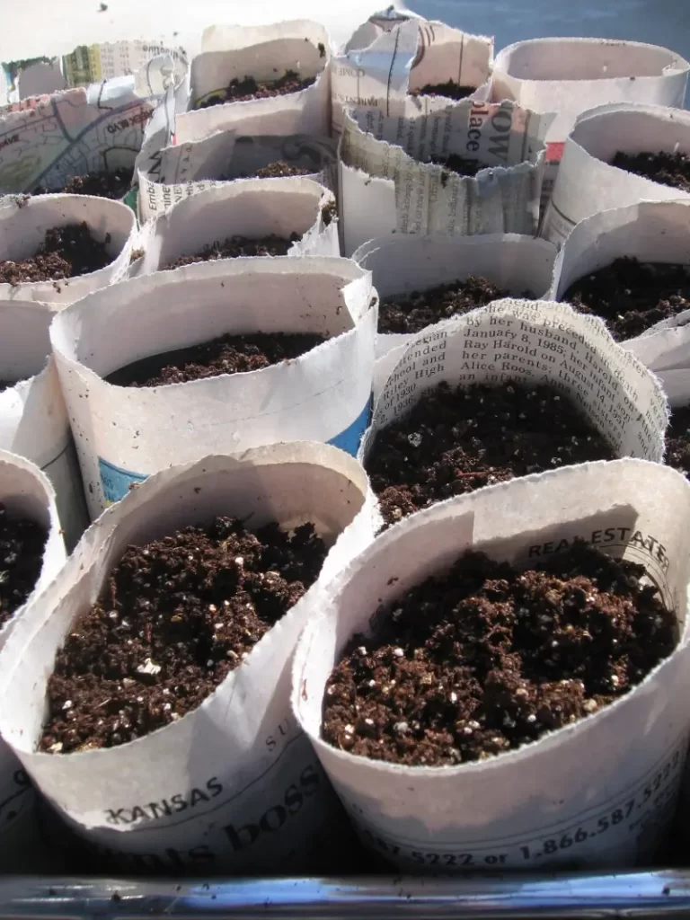What Is Soilless Potting Mix and Why Is It So Important?
