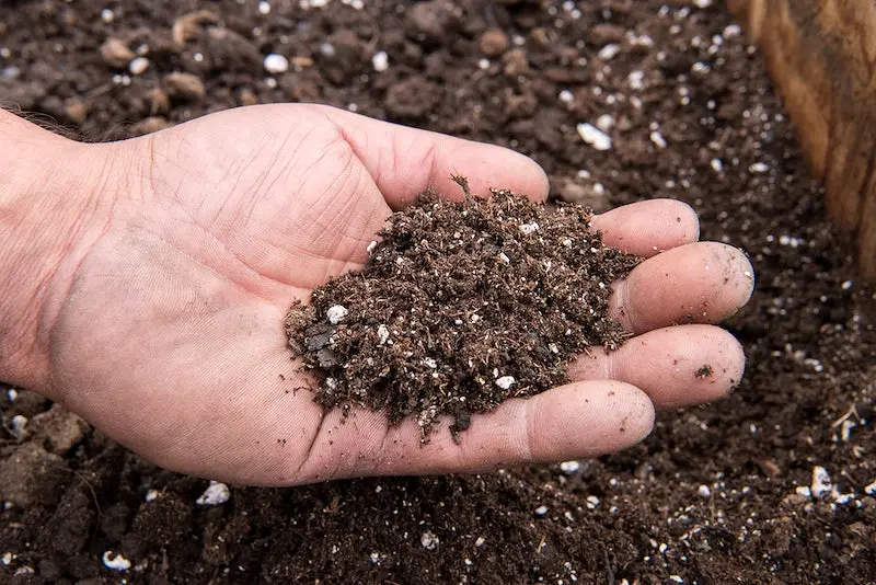 What is Potting Soil?
